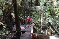 Rainforest wandeling