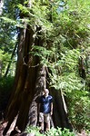 Rainforest wandeling