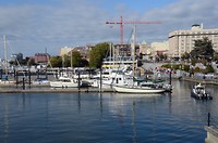 Inner Harbour