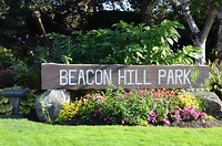 Beacon Hill Park