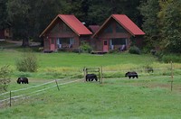 Voor de huisjes van de Lodge