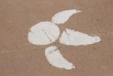 Dino was here!