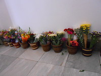 Bloemen voor de Virgen de Candelária