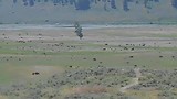 Yellowstone NP - dag 3