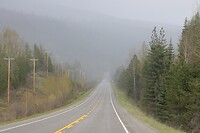 Misty