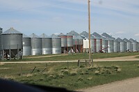 Een heel nest silo’s
