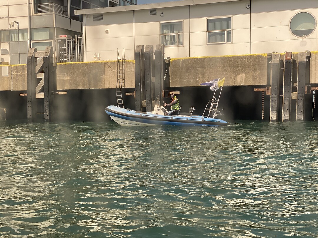 De pilot
