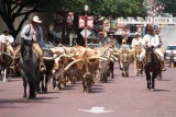 Rawhide!