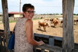Longhorns in de corall