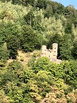 Ruïne langs de Neckar
