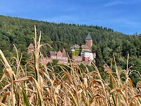 Kasteeltje langs de Neckar