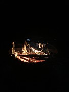 522 marshmellows!