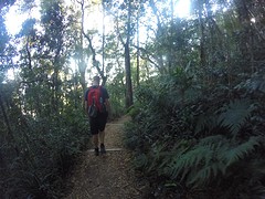 146 Wandelen