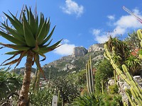Jardin Exotique