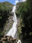 De hoogste waterval van Tasmania was vandaag de eindbesteming van de wandeling!
