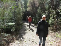 Nieuwe wandeling!