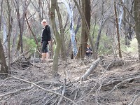 Janneke geniet van het dode bos