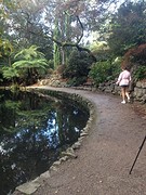 zoe dandenong ranges