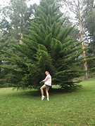 dandenong zoe