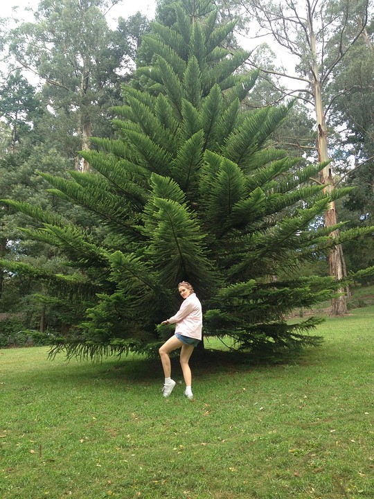 dandenong zoe