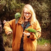 Birds GOR
