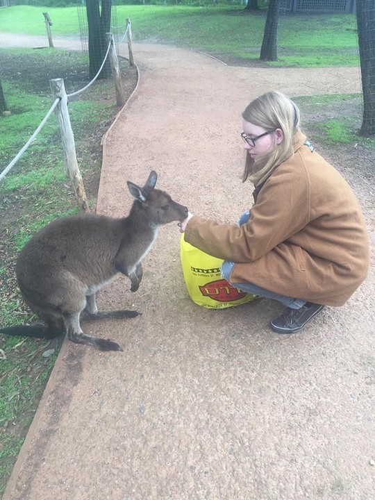 Walibi healesville centurary