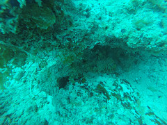 Spot de vis
