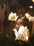 IMG_4451
