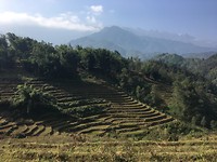 IMG_3773