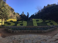 IMG_3867