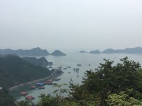 IMG_3950