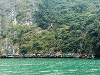 IMG_3968