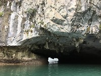 IMG_3981