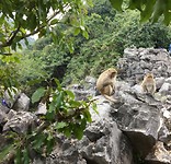 IMG_3990