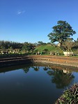 IMG_4182