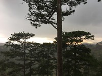 IMG_4327