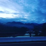IMG_4331