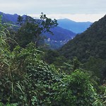 IMG_4332