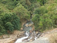 IMG_4345