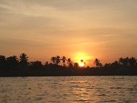 IMG_4439