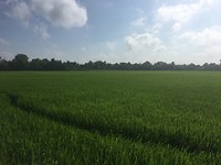 IMG_4469