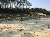 IMG_4713