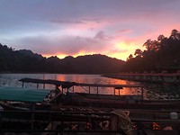 IMG_2228