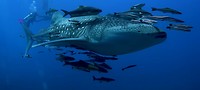 IMG_5449