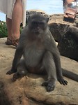 IMG_5495