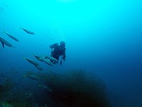 IMG_2058