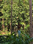 IMG_2338
