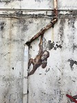 IMG_2352