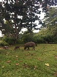 IMG_5864