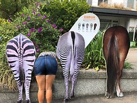 IMG_2427
